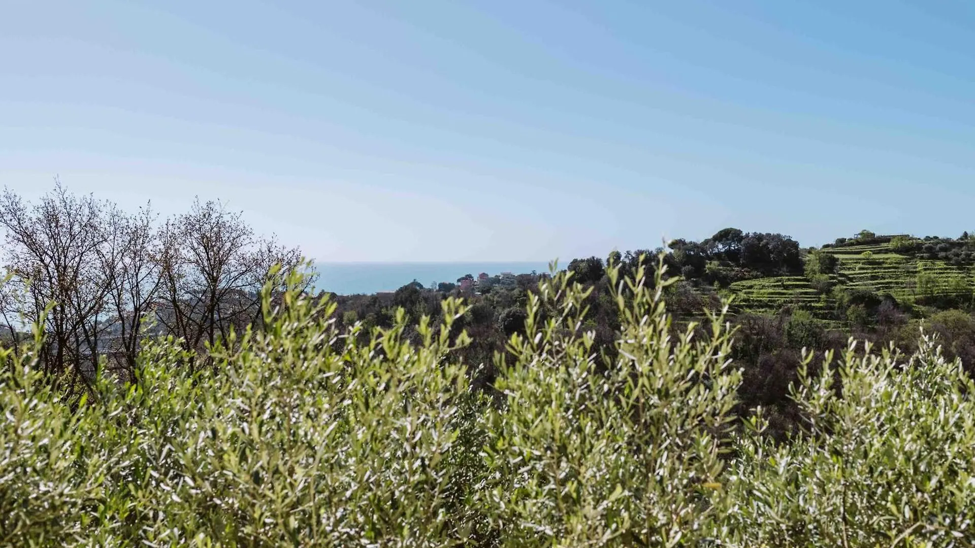 Abc Affittacamere Celle Ligure